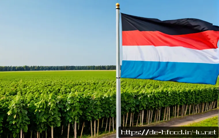 Blutzuckerfreundlich essen: Lebensmittel auswählen, kombinieren und sinnvoll einkaufen 4 혈당 조절에 좋은 음식 추천 관련 이미지 2